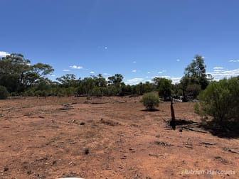 * Dutchmans Hutt Hermidale NSW 2831 - Image 2