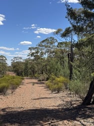 * Dutchmans Hutt Hermidale NSW 2831 - Image 3