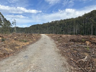. Calder Road Calder TAS 7325 - Image 3