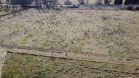 Avoca NSW 2577 - Image 3