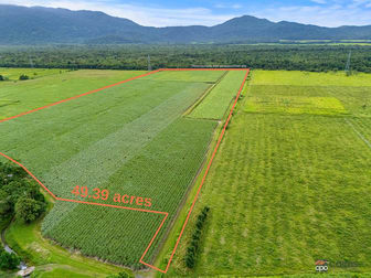 101 Bruce Highway Bellenden Ker QLD 4871 - Image 2