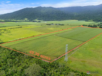 101 Bruce Highway Bellenden Ker QLD 4871 - Image 3