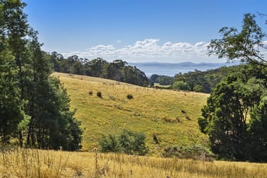 44 Coppings Road & 729 Nubeena Road Premaydena TAS 7185 - Image 2