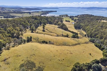 44 Coppings Road & 729 Nubeena Road Premaydena TAS 7185 - Image 3