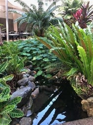 Cafe & Coffee Shop  business for sale in Portsmith - Image 3