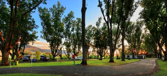 110 River Road Walwa VIC 3709 - Image 1