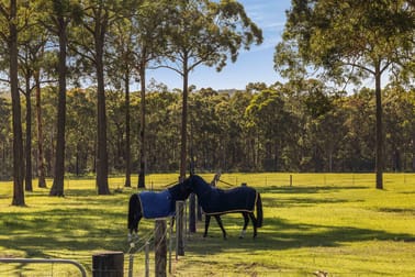242 Dairy Road The Oaks NSW 2570 - Image 3