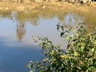 494 Yeppoon Road Limestone Creek QLD 4701 - Image 3