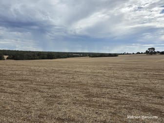 "Bloomvale", Bloomfields Road Scotts Brook WA 6244 - Image 1