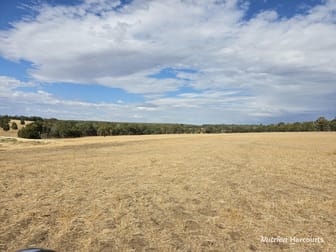 "Bloomvale", Bloomfields Road Scotts Brook WA 6244 - Image 3