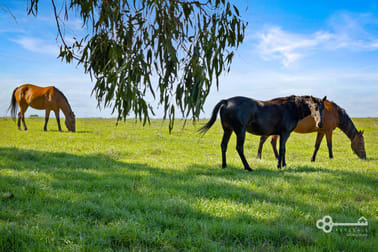 51 Stevenson Road Suttontown SA 5291 - Image 2