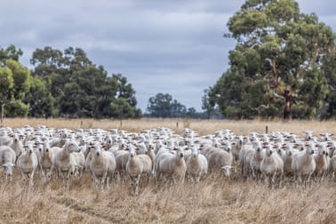 Click to view all images 3258 Riddoch Highway Willalooka SA 5267 - Image 2