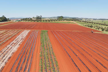 767 Peeramon Road Peeramon QLD 4885 - Image 2