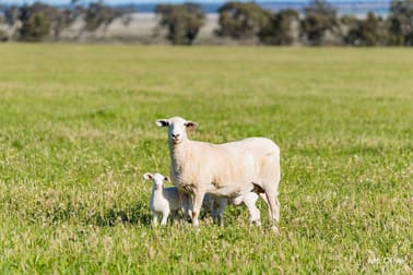 Kamarah Road Narrandera NSW 2700 - Image 1