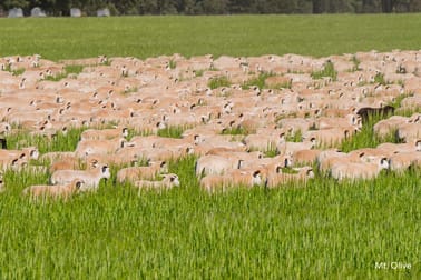 Kamarah Road Narrandera NSW 2700 - Image 2