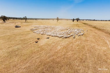 Kamarah Road Narrandera NSW 2700 - Image 3