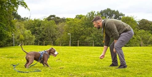 Mobile Services  business for sale in Manly Vale - Image 1