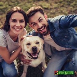 Mobile Services  business for sale in Manly Vale - Image 2