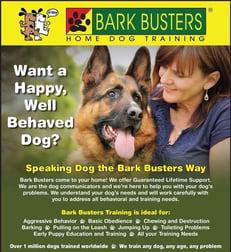 Mobile Services  business for sale in Manly Vale - Image 3