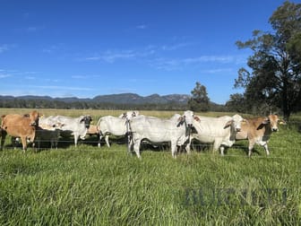 98/ Maryborough Biggenden Road Lakeside QLD 4621 - Image 2