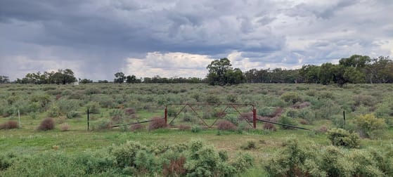 Lots 1,2,3,4 Blue Gum Oxley NSW 2711 - Image 1