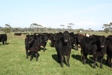 369 Giddens Road Smithton TAS 7330 - Image 1