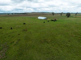 1706 Braidwood Road Tarago NSW 2580 - Image 1