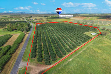 Click to view all images 964 Mareeba-Dimbulah Rd Paddys Green QLD 4880 - Image 1