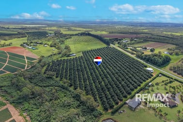 Click to view all images 964 Mareeba-Dimbulah Rd Paddys Green QLD 4880 - Image 2