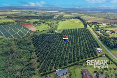 Click to view all images 964 Mareeba-Dimbulah Rd Paddys Green QLD 4880 - Image 3