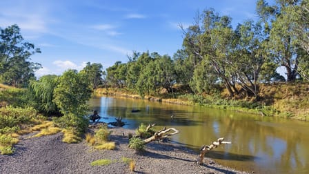 306 Orange Grove Road Gunnedah NSW 2380 - Image 3