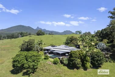 225 Tyalgum Road Eungella NSW 2484 - Image 1