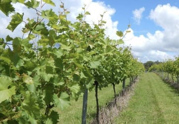 874 Cobargo Bermagui Road Coolagolite NSW 2550 - Image 3