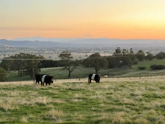 428 Tabletop Road Bridge Creek VIC 3723 - Image 2