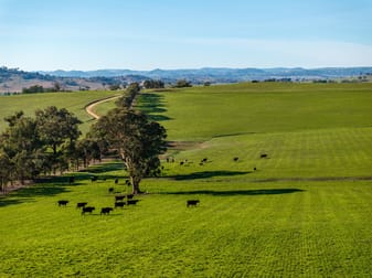 478 Illawong Road Jugiong NSW 2726 - Image 1