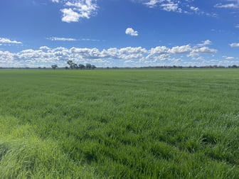 2022 'Trenayr' & 'Nanima' Terry Hie Hie Road Moree NSW 2400 - Image 1