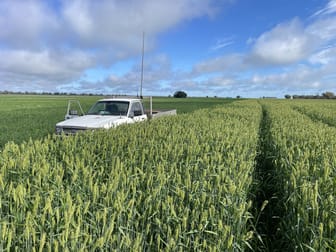 2022 'Trenayr' & 'Nanima' Terry Hie Hie Road Moree NSW 2400 - Image 3