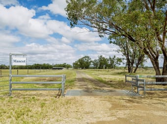 2330 Dalby Cooyar Road Kaimkillenbun QLD 4406 - Image 2