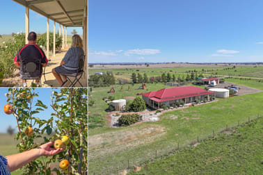 63 Gunning Ridge Road Forbes NSW 2871 - Image 1