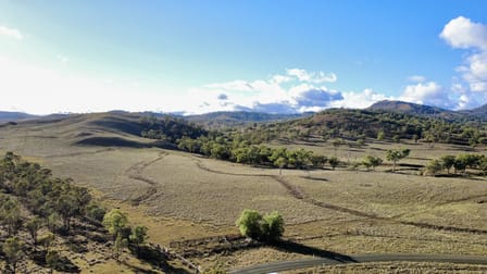 Click to view all images "Waverly Paddock" Waverley Road Waverly (Via) Scone NSW 2337 - Image 1