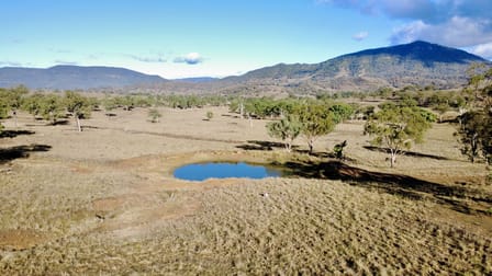 Click to view all images "Waverly Paddock" Waverley Road Waverly (Via) Scone NSW 2337 - Image 2