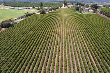 Lot 7 Pike Creek Road Lyrup SA 5343 - Image 3