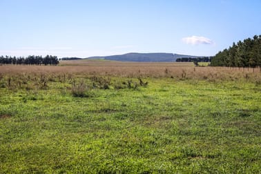1790 Braidwood Road Tarago NSW 2580 - Image 2