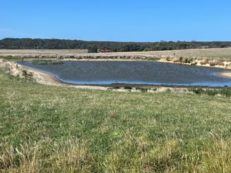 559 North Ansons Road Gladstone TAS 7264 - Image 1