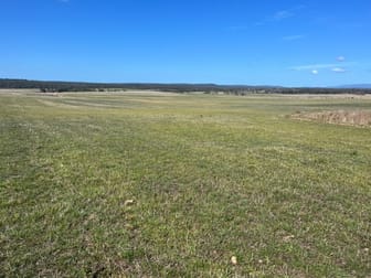 559 North Ansons Road Gladstone TAS 7264 - Image 3