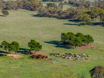 7550 Federal Highway Goulburn NSW 2580 - Image 3
