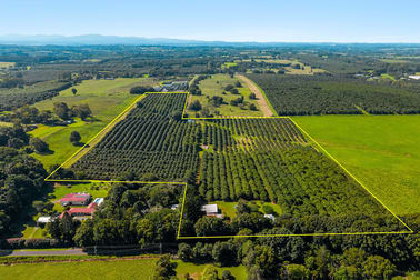 250 Dalwood Road Dalwood NSW 2477 - Image 3