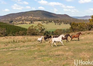 Meadow Flat NSW 2795 - Image 1