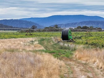 1498 Royal George Road Royal George TAS 7213 - Image 3