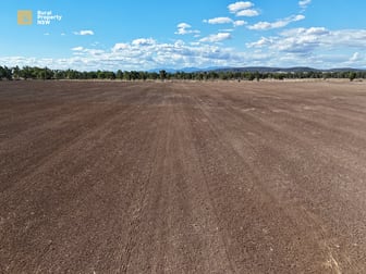 MCKENZIES/149 Henriendi Lane Baan Baa NSW 2390 - Image 1